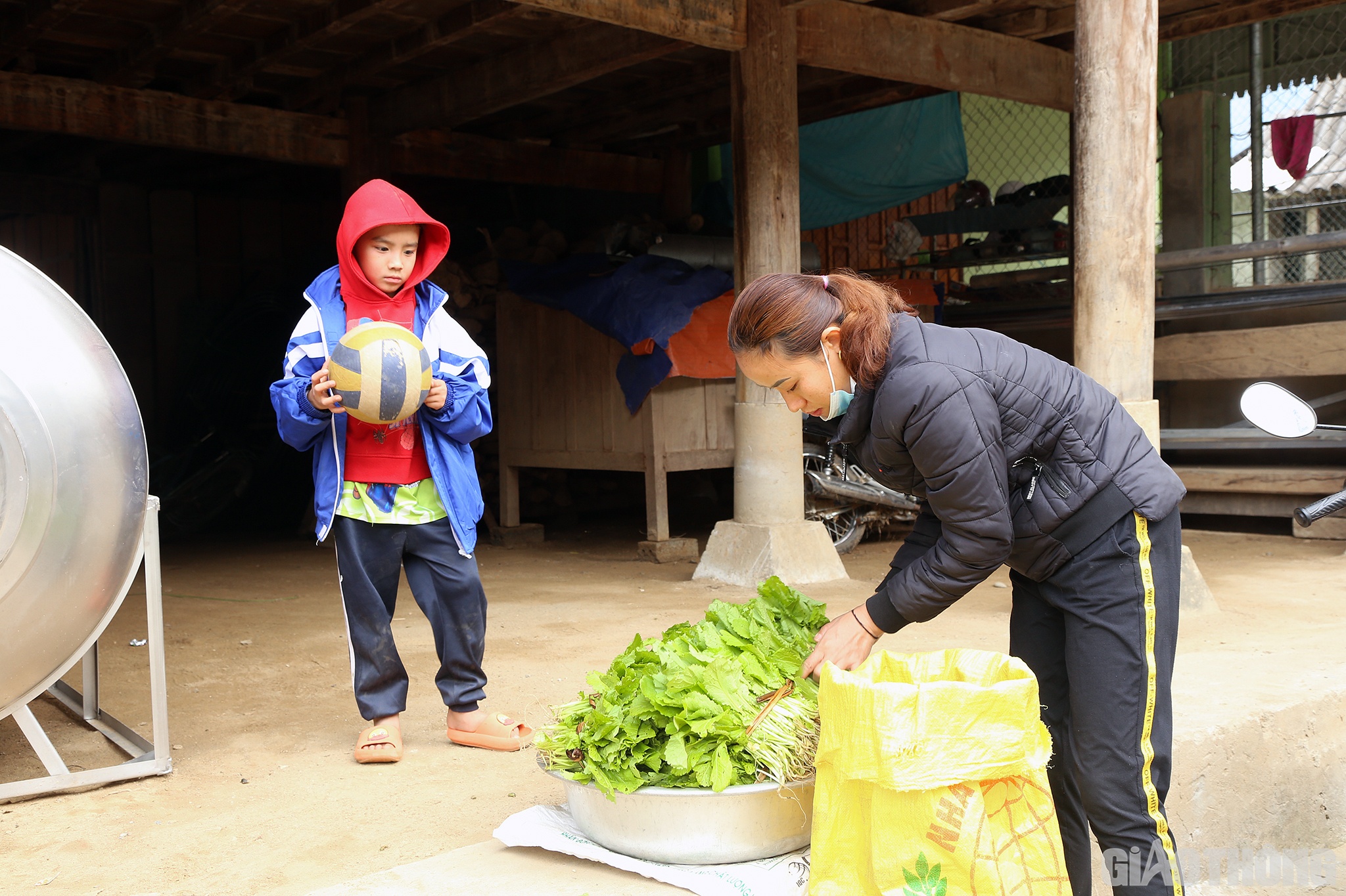 Cùng với rau trong vườn, vợ chồng anh Khăm không ngừng chăm sóc các vườn rau trên các nương núi. Rau xanh, sạch nên luôn được người dân săn đón. Chị Vi Thị Tiên (vợ anh Khăm) cho biết: Giữa khó khăn bủa vây, đây cũng là nguồn thu nhập chính cho gia đình, nhất là khi Tết đang cận kề.