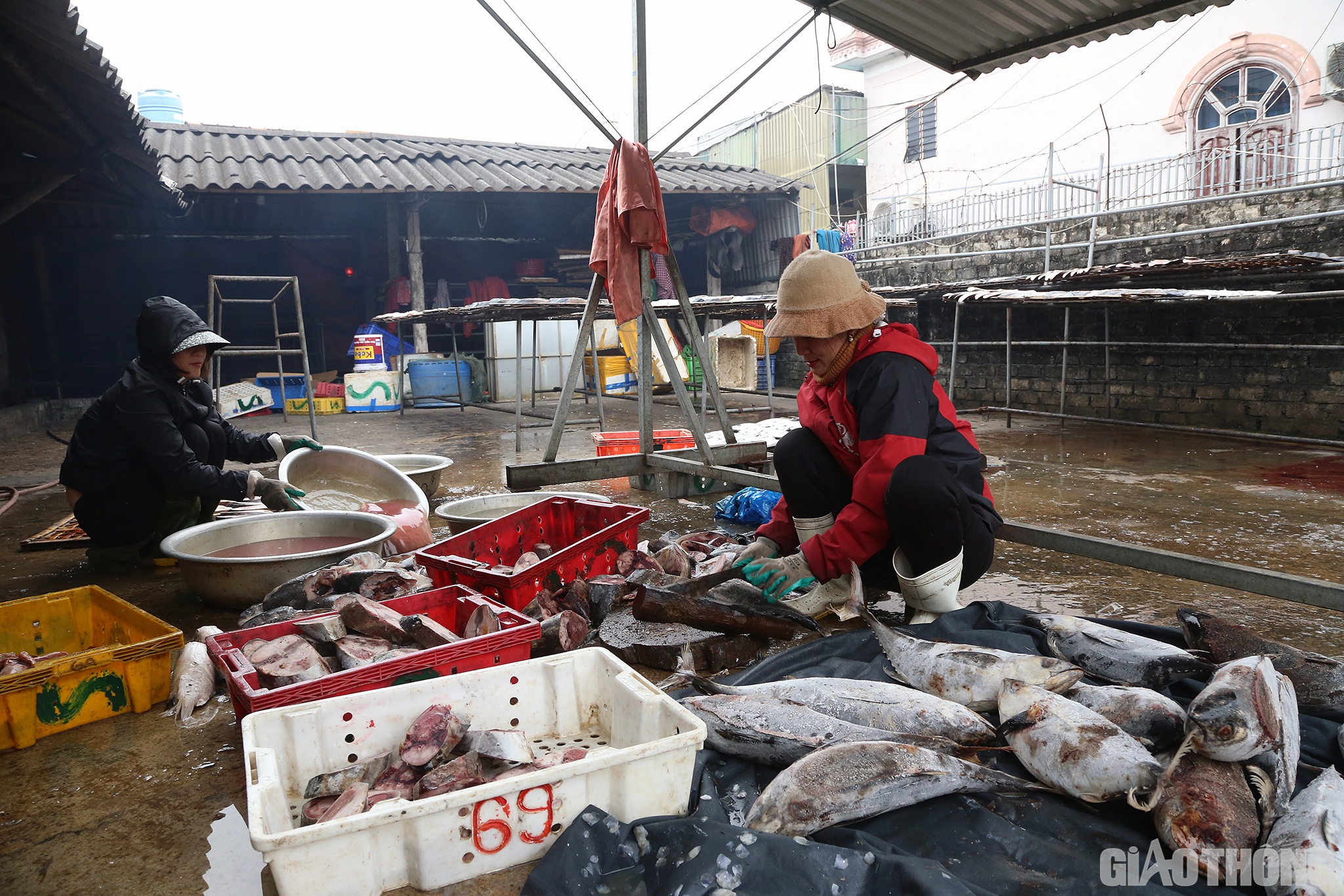 Cũng là một chủ lò nướng cá lâu năm ở làng Trung Hậu, chị Trần Thị Bảy (áo đỏ bìa phải) cho biết: Nghề nướng cá tuy không nặng nề nhưng vất vả không kém, nhất là mùa Tết. Trời mùa đông, nước lạnh như cắt, người thợ phải xả đông, rồi ngâm tay trong nước lạnh nhiều giờ liền; rồi phải ngồi làm cá, nướng cá cả ngày nên rất mỏi lưng…