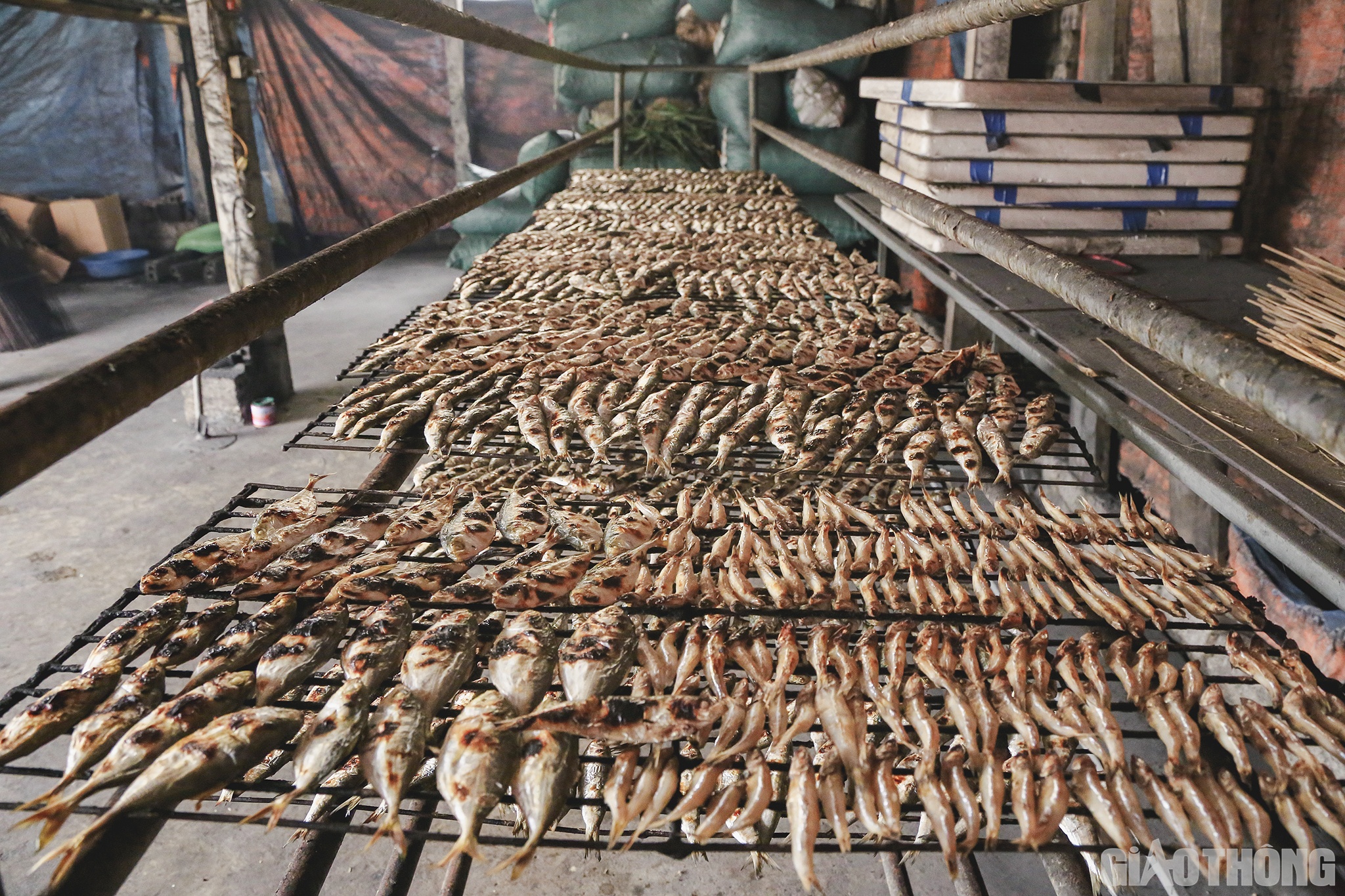 Chị Ngọc cho biết: Bình thường, do nhu cầu của khách nên gia đình chỉ nướng những loại cá nhỏ. Tết về thì chuyển sang nướng cá to, bên cạnh người trong nhà, gia đình còn thuê 1 đến 2 người phụ giúp. Trong làng hiện nay có khoảng 35 lò nướng cá, hầu hết đều như vậy.