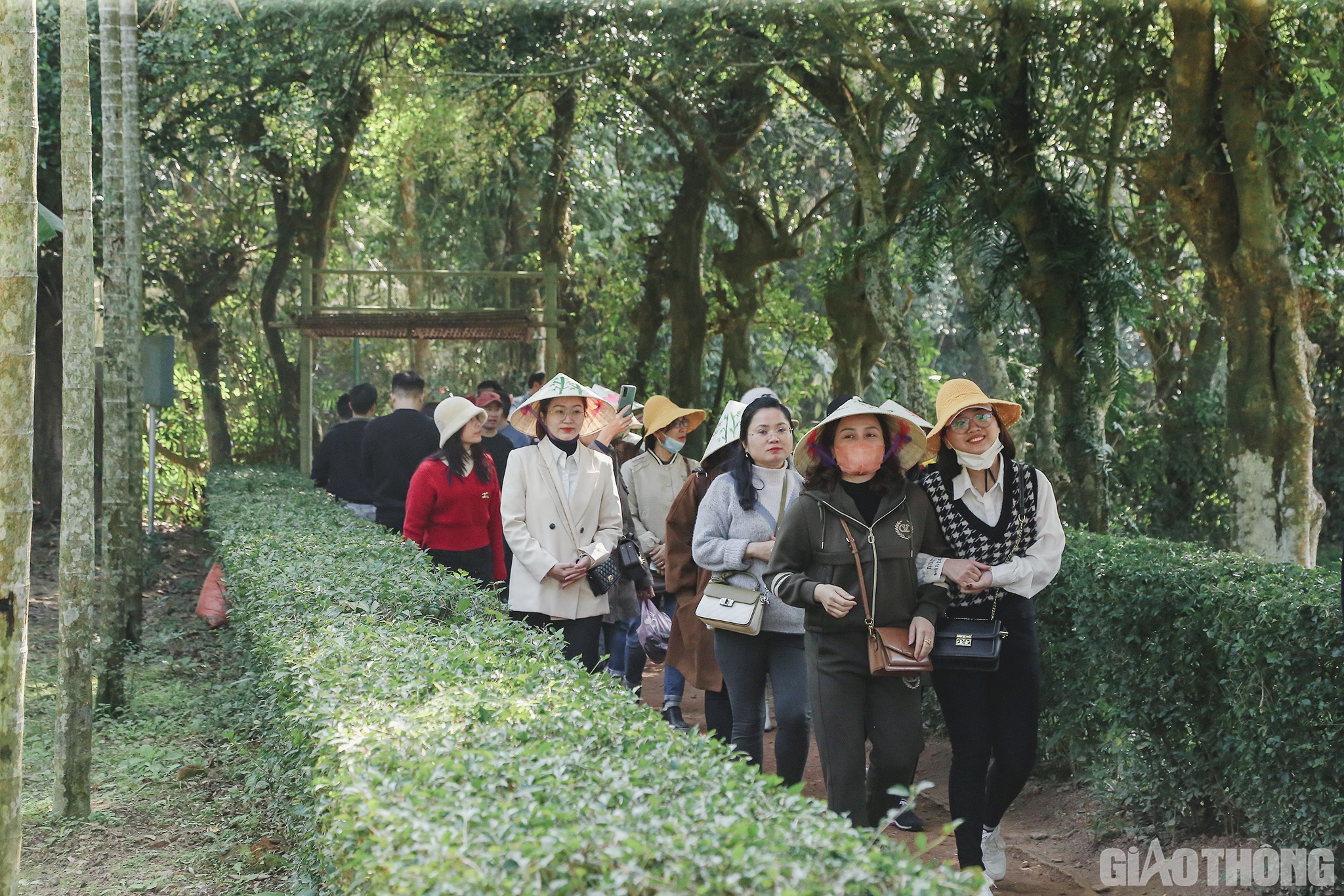Cũng như gia đình anh Đức, gia đình anh Chu Minh Quyết và chị Trần Tuấn Ngọc đã vượt hơn 300km từ Hà Nội để về thăm quê Bác dịp đầu năm mới. Vui nhất là 2 con nhỏ của anh chị, ngày thường sống ở Hà Nội đông đúc, nay được thỏa thích dưới những bóng cây cổ thụ, bên hàng hoa bông bụt, được bố mẹ giới thiệu về gia đình, cuộc đời của Bác Hồ.