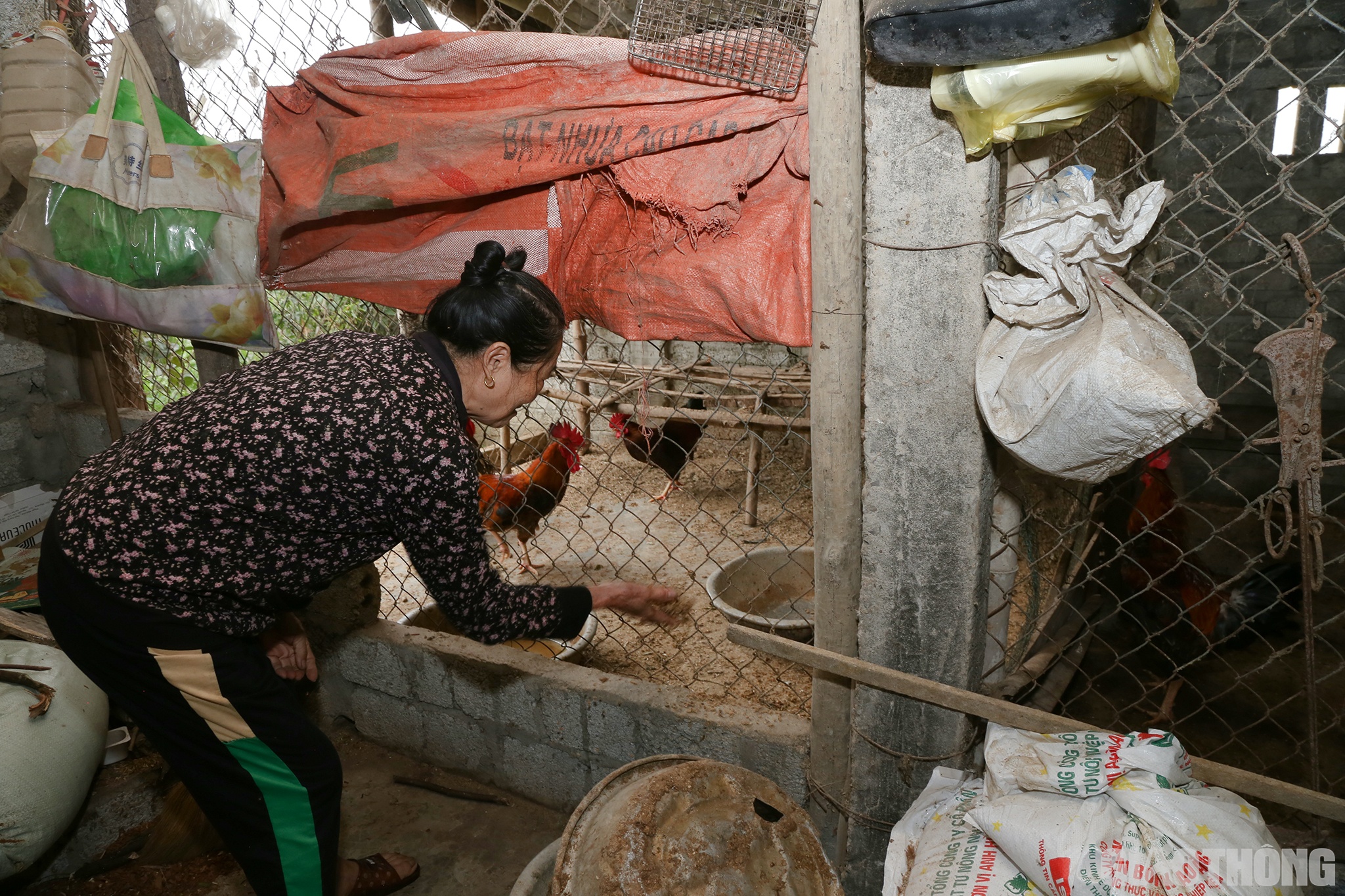 Đang cho đàn gà ăn, vợ ông Toản không giấu được niềm vui: Lên đây cao ráo, rộng rãi, thoải mái hơn nhiều. Nhà mới, vườn rộng, còn có thêm chỗ nuôi gà, vịt… Nói chung là nơi ở mới tốt hơn nơi ở cũ.