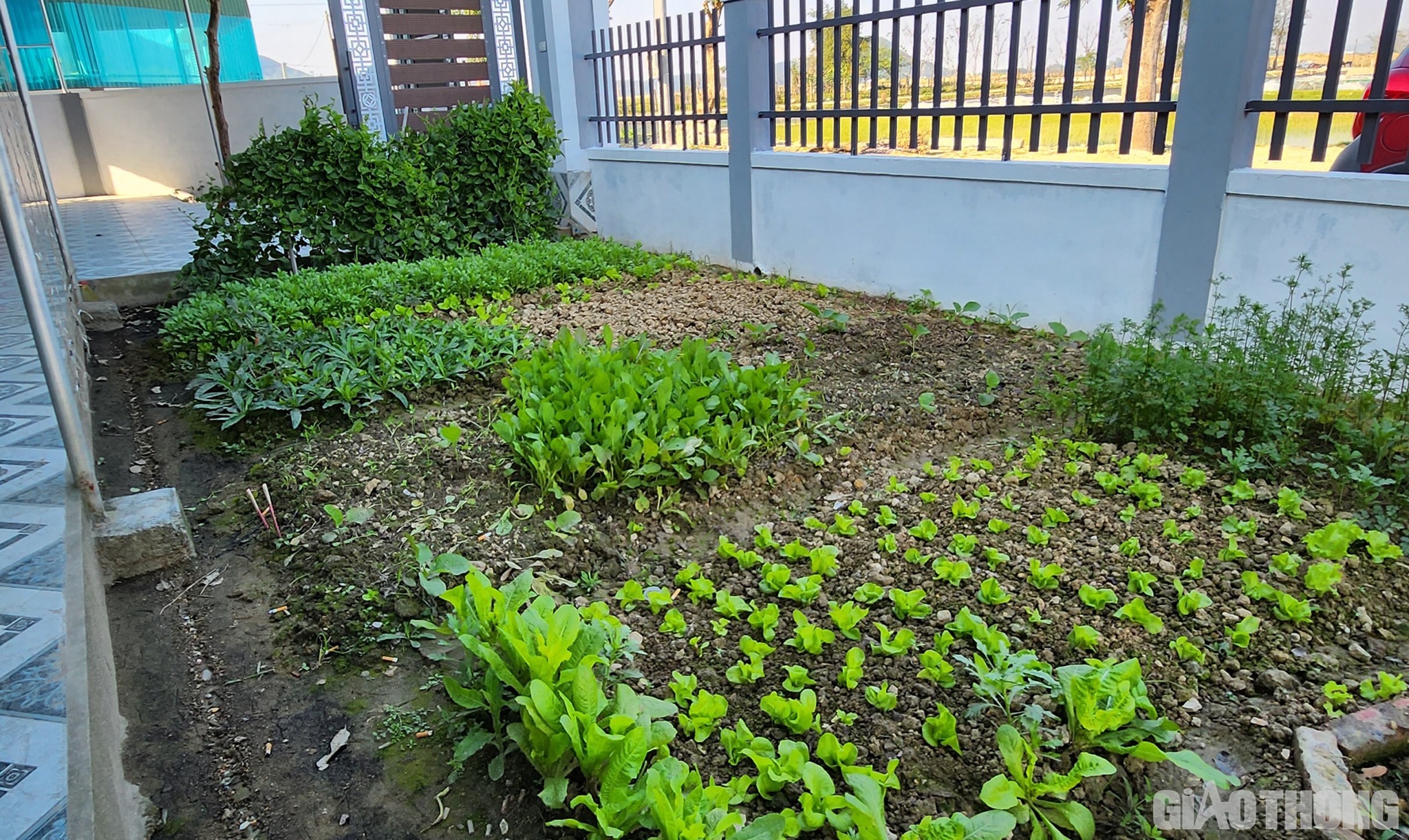 Theo anh Thắng, ở chỗ cũ, gia đình anh có gần 500m2, ra nơi ở mới gia đình anh được bố trí diện tích đất bằng nơi ở cũ. Căn nhà cũ rộng 100m2 được gia đình anh xây dựng từ năm 2010 được Nhà nước đền bù 1 tỷ đồng. Ra nơi ở mới, rộng rãi, thoáng mát nên anh chọn xây dựng nhà mới theo kiểu biệt thự vườn, nhà mái Thái 1 tầng, rộng 180m2 với 4 phòng ngủ, 1 phòng thờ, 1 phòng khách, 1 phòng bếp… Diện tích còn lại anh dùng trồng cây xanh, làm vườn rau và khu chuồng trại nuôi gà.
