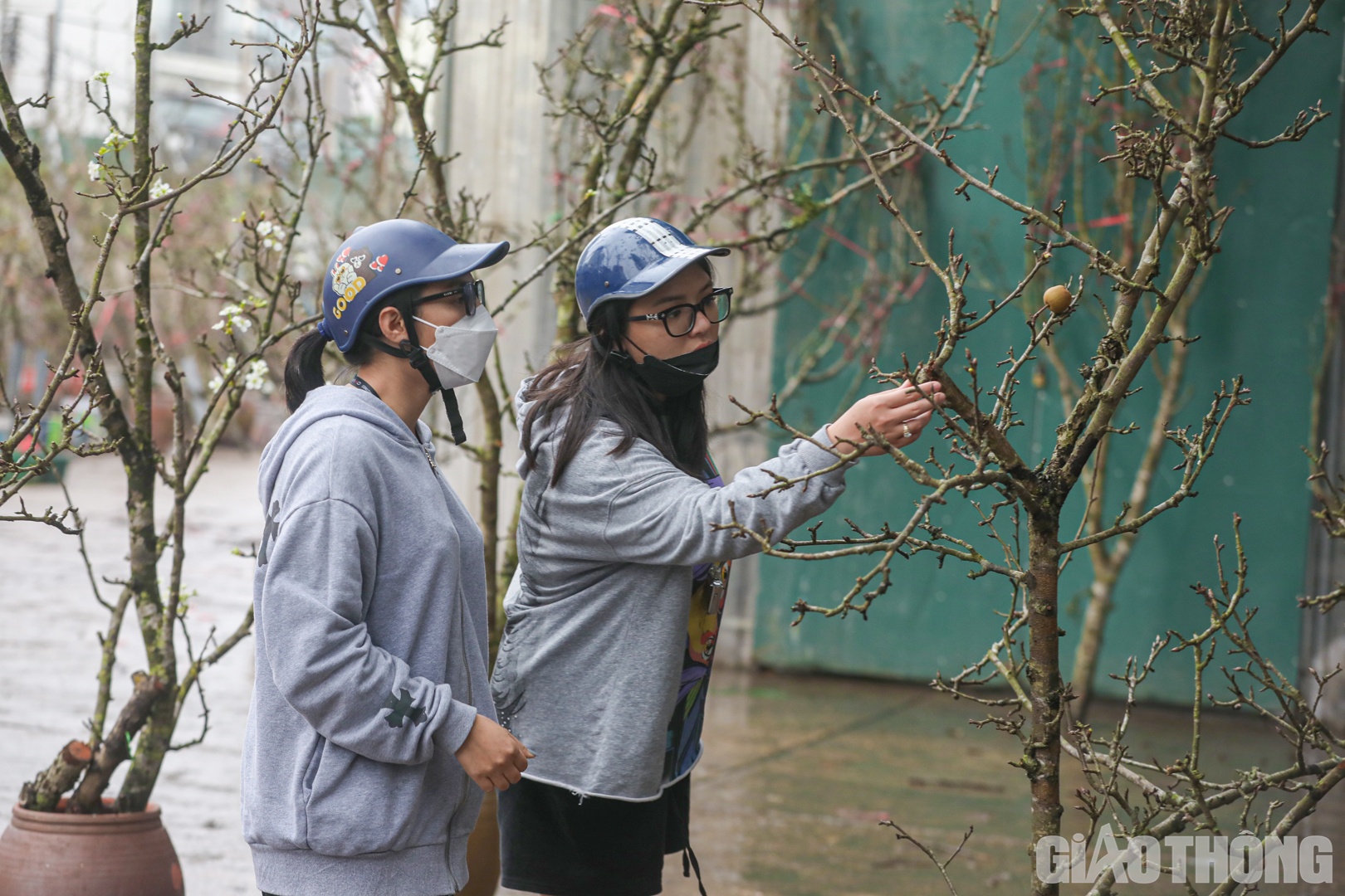 Duy tr&igrave; th&oacute;i quen chơi hoa l&ecirc; sau Tết Nguy&ecirc;n đ&aacute;n, chị Vũ Ngọc Anh (quận T&acirc;y Hồ) chia sẻ: "Năm n&agrave;o cũng vậy, sau khi c&agrave;nh đ&agrave;o ở nh&agrave; đ&atilde; t&agrave;n, t&ocirc;i lại t&igrave;m mua hoa l&ecirc;. Theo t&ocirc;i, một c&agrave;nh l&ecirc; đẹp phải c&oacute; đủ hoa, nụ, l&aacute;, quả... để mang lại nhiều t&agrave;i lộc".