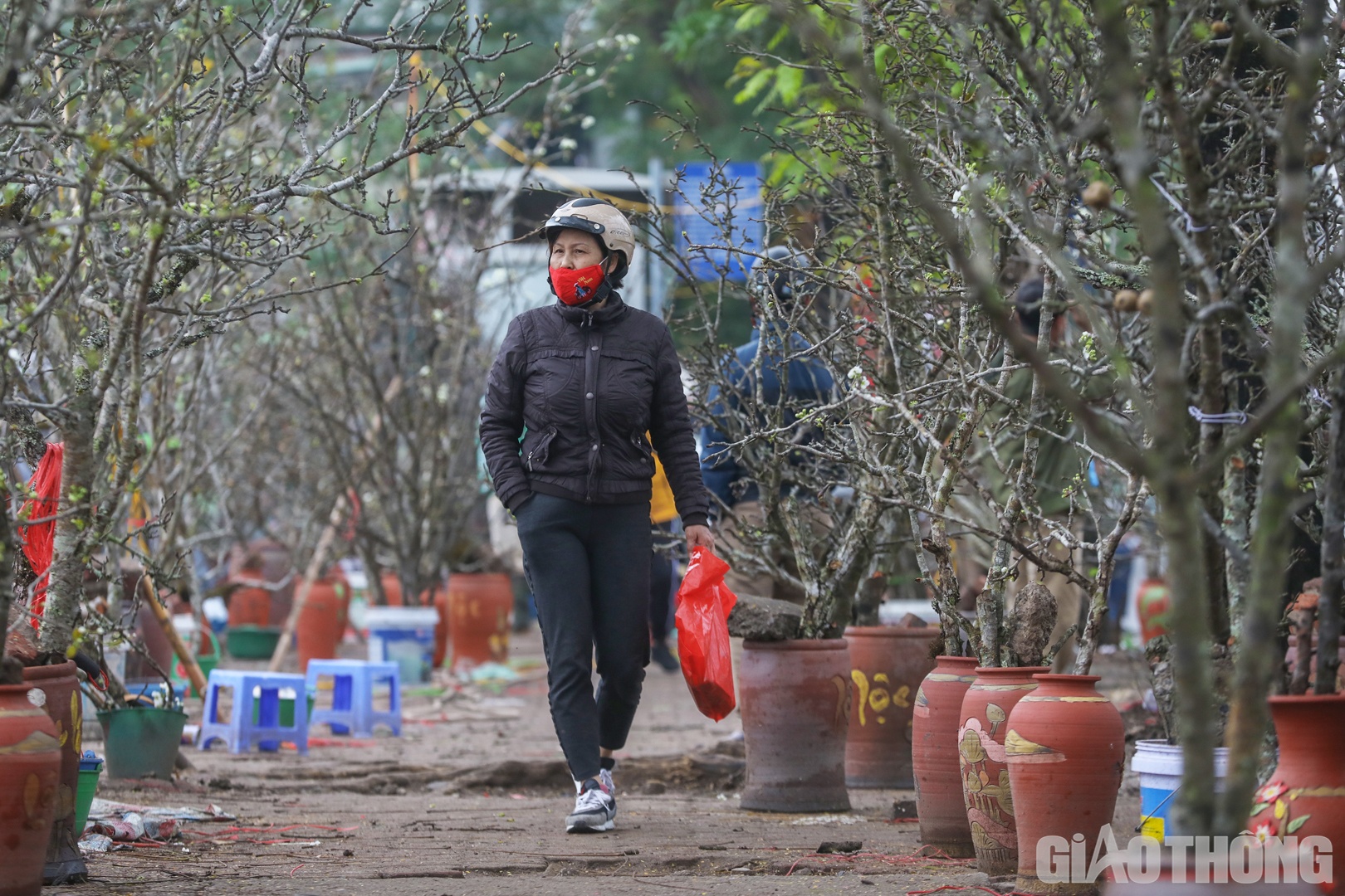 Tương tự, hoa l&ecirc; trắng cũng được b&agrave;y b&aacute;n nhiều tr&ecirc;n đường Lạc Long Qu&acirc;n.