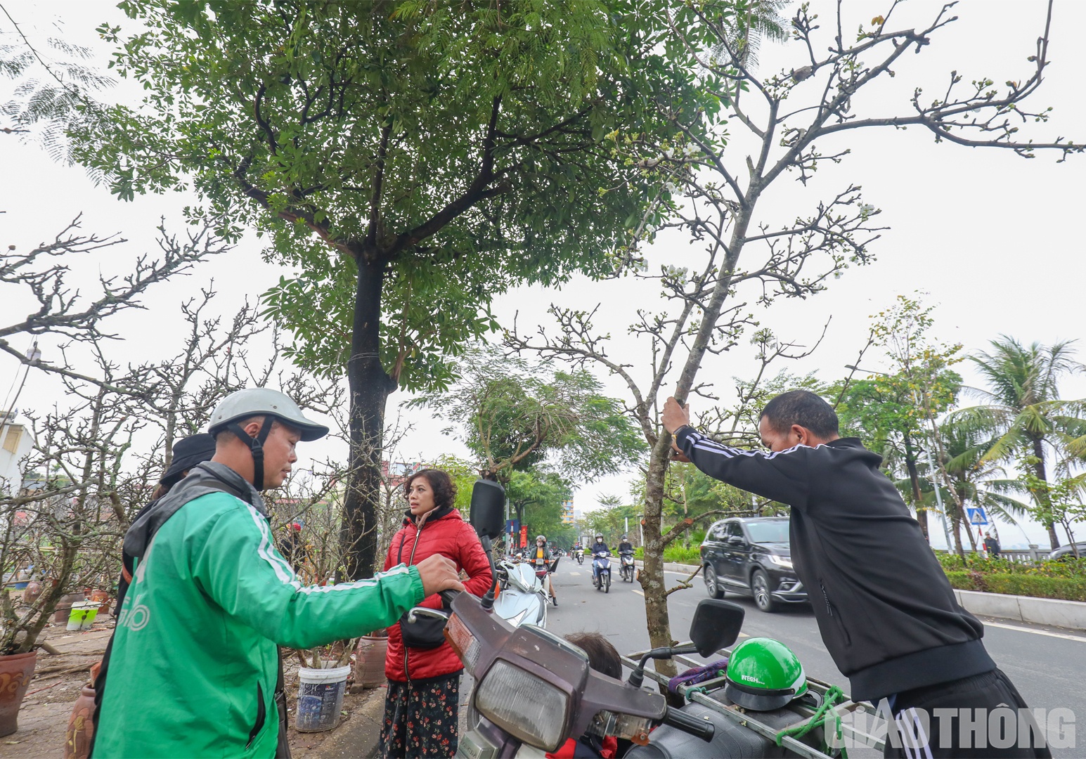 Sau khi lựa chọn được c&agrave;nh hoa l&ecirc; ưng &yacute;, dịch vụ chuy&ecirc;n chở ở đ&acirc;y sẽ đưa đến tận nh&agrave; nếu kh&aacute;ch h&agrave;ng c&oacute; nhu cầu.