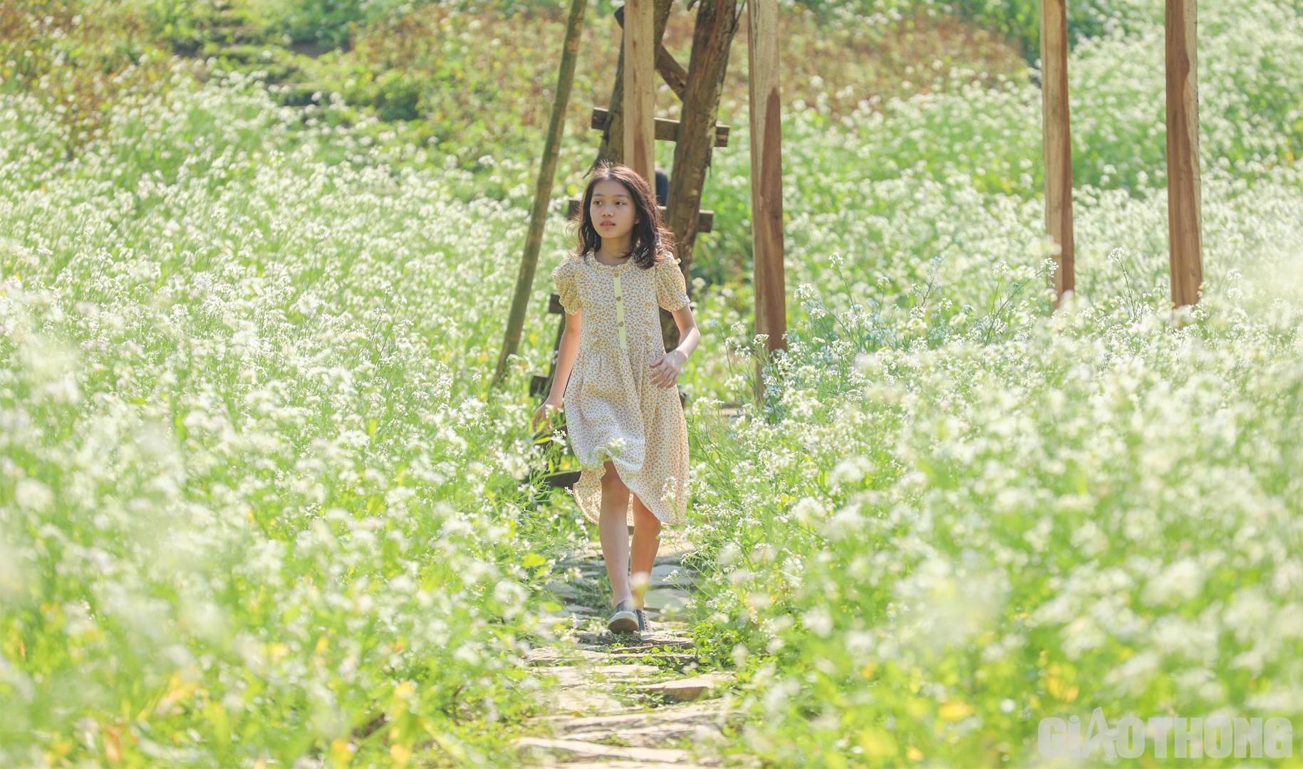 Các em nhỏ cũng được gia đình đưa tới đây vui chơi.