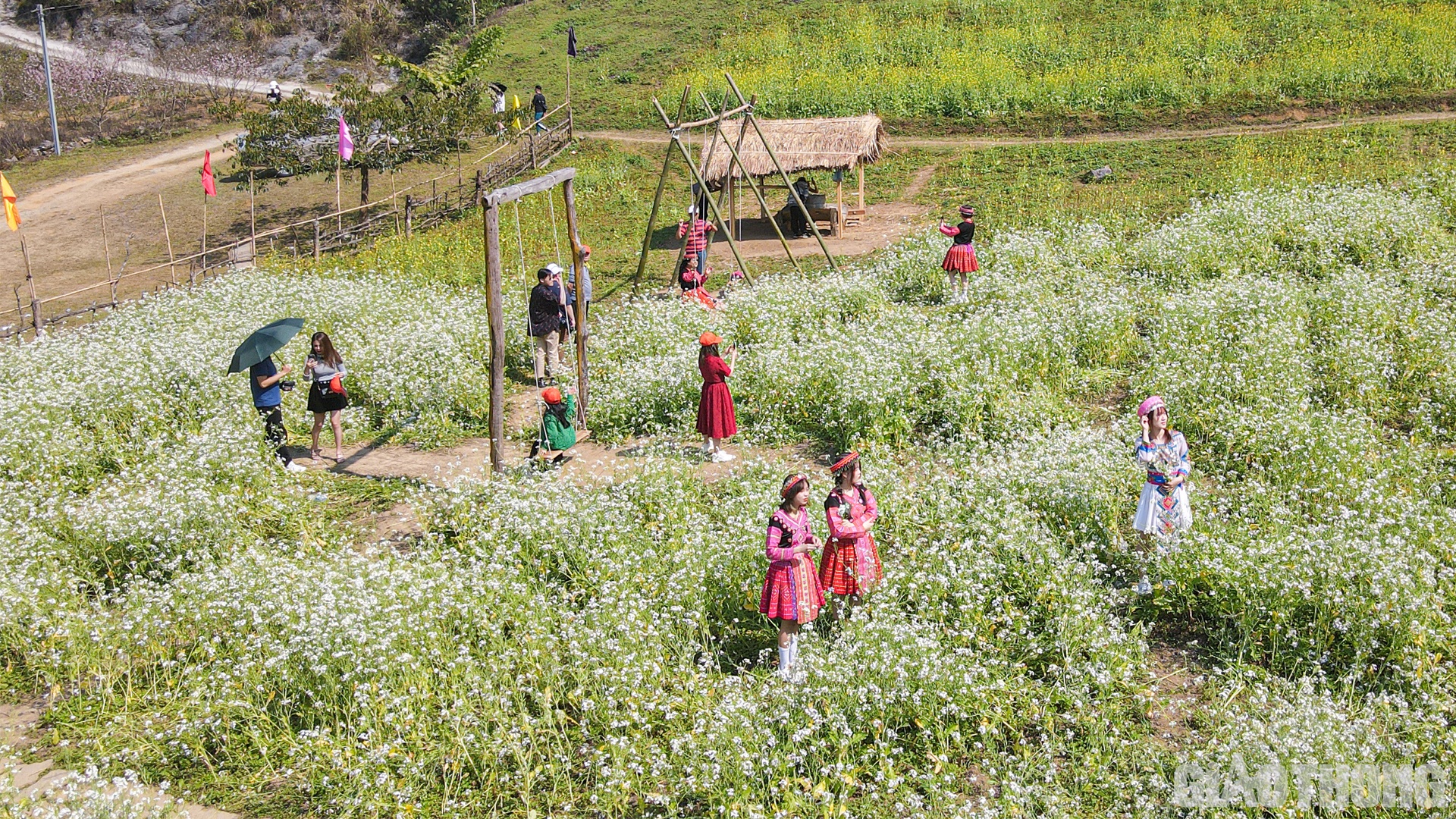 Vé vào vườn cải để vui chơi, chụp ảnh có giá 20.000 đồng/du khách. Ngoài ra, tại đây còn có dịch vụ cho thuê trang phục với giá 30.000 đồng/bộ.