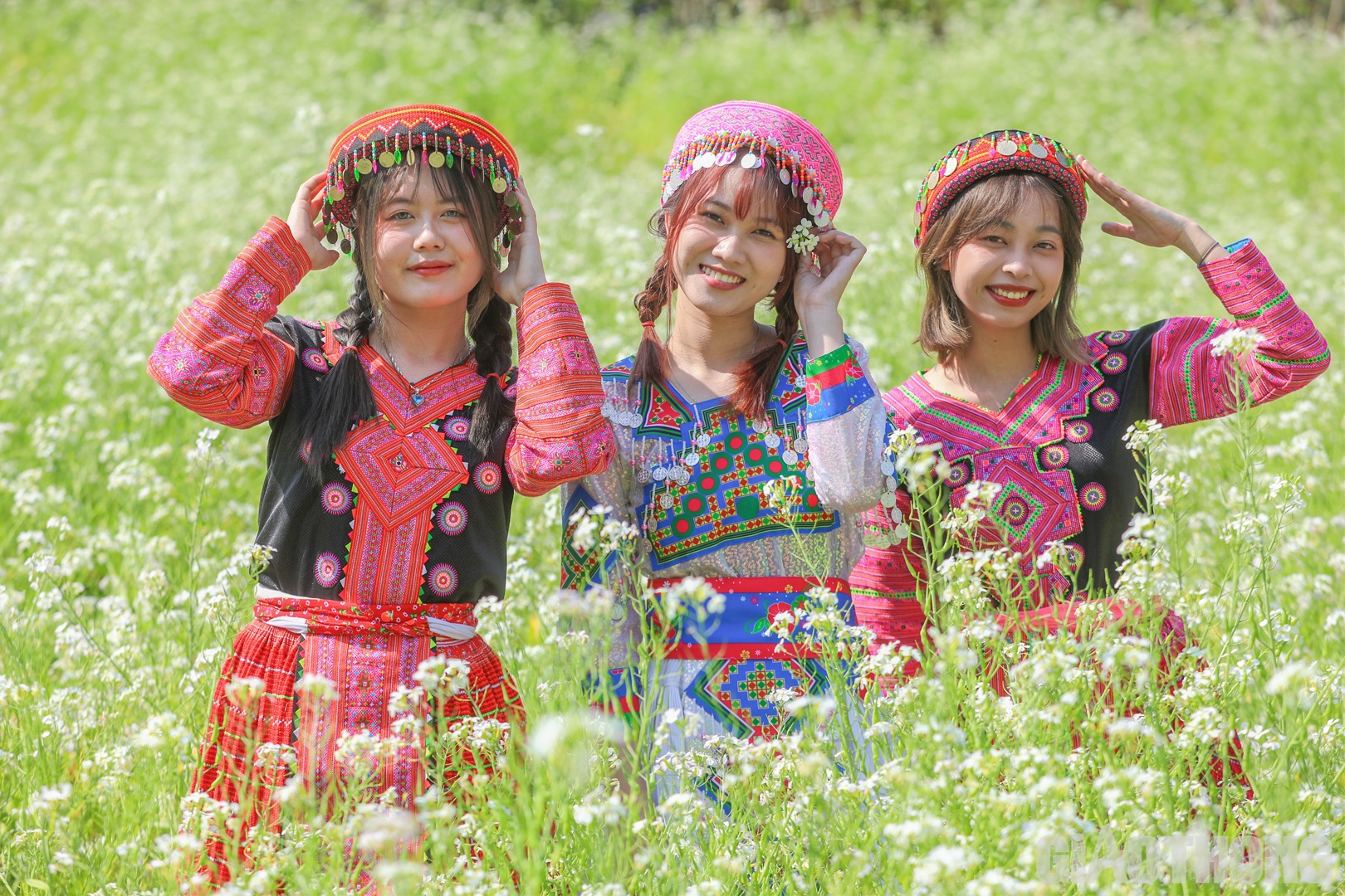 Hào hứng cùng nhóm bạn chụp ảnh check in, bạn Phạm Ánh Dương (ngoài cũng bên phải) chia sẻ: "Khi đi qua đây, chúng em bị thu hút bởi vườn cải trắng tinh nên tranh ghé vào tham quan và lưu lại những những khoảnh khắc đẹp với loài hoa này".