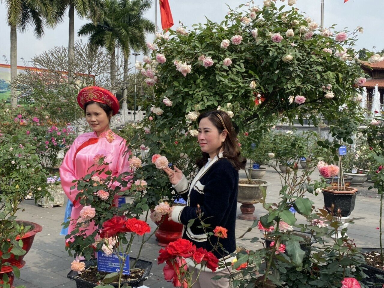 Một điểm mới nữa của lễ hội đền Cửa Ông là Ban tổ chức đã bố trí triển lãm, trưng bày hoa hồng tại khu vực Đài tưởng niệm các Anh hùng Liệt sỹ trong không gian khu di tích. Do đó, du khách còn được thỏa sức ngắm, chụp ảnh bên những cây hồng đang chúm chím nụ...