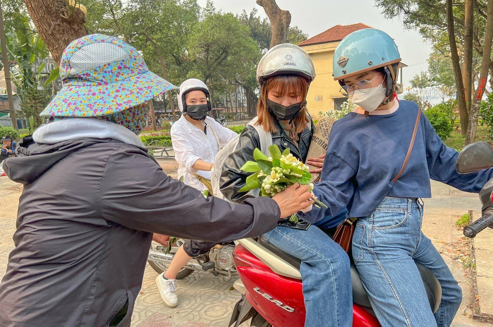 Chị Linh (ở Cầu Giấy, Hà Nội) cho biết, hoa bưởi chỉ có một mùa nên chị tranh thủ mua hoa về đặt trên bàn thờ gia tiên.