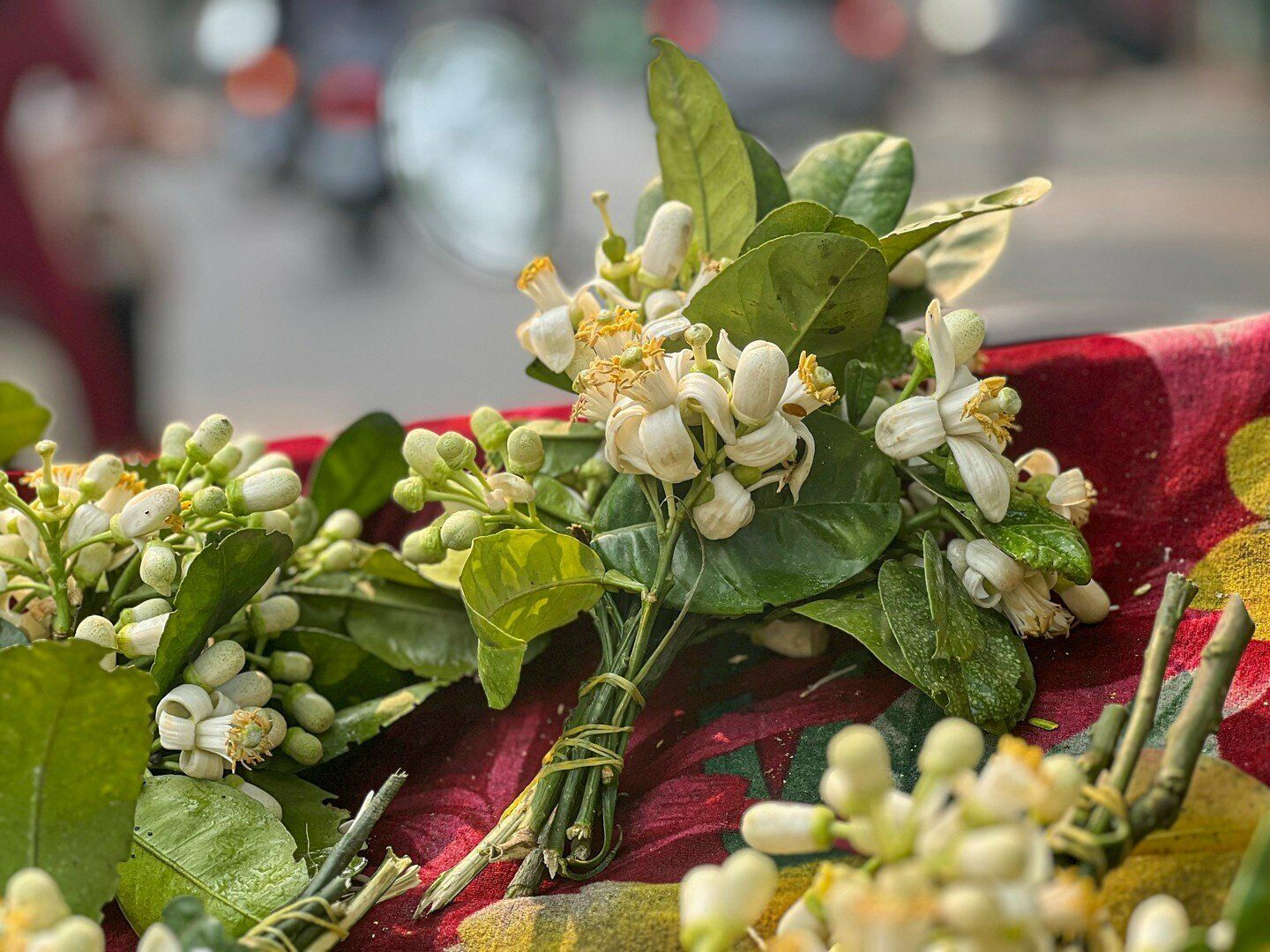 "Chính vì thời gian ngắn nên mang đi thúng hoa nào là hết thúng đấy. Người dân họ cũng thích mùi hoa bưởi vì hương thơm dìu dịu", chị Thuyết nói.