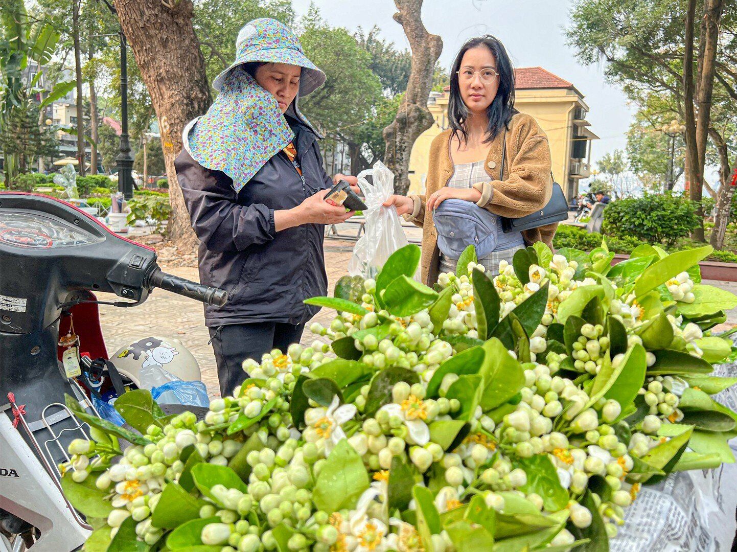 "Những ngày này, cứ 1 tuần tôi lại mua 2 bó nhỏ hoa bưởi, 1 bó để phòng khách ở nhà, 1 bó để ở chỗ làm. Hoa rất thơm, tạo sự thoải mái giúp tinh thần sảng khoái", chị Linh cho hay.