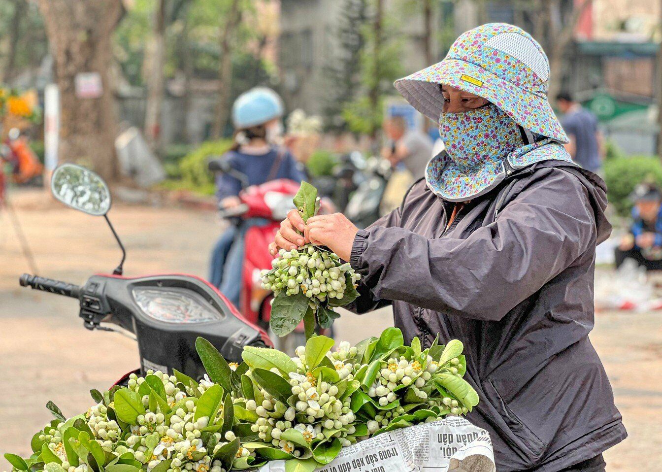 Chị Hiền (quê ở Bắc Giang) bán hoa bưởi trên đường Mai Xuân Thưởng cho biết, năm nào cũng vậy, cứ cuối tháng 2 đầu tháng 3 dương lịch chị cũng lấy hoa bưởi ở vườn rồi mang đến những con phố tại Hà Nội để bán cho khách.
