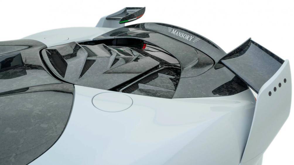 Tấm che khoang động cơ được làm từ sợi carbon đúc, kết nối trực tiếp với cánh gió phụ đuôi vịt được chế tác từ chất liệu tương tự