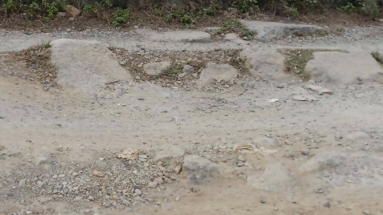 Việc nhiều đoạn của tuyến đường đê này hư hỏng nặng khiến việc lưu thông gặp nhiều khó khăn, tiềm ẩn nguy cơ mất ATGT, gây ảnh hưởng đến kết cấu đê.