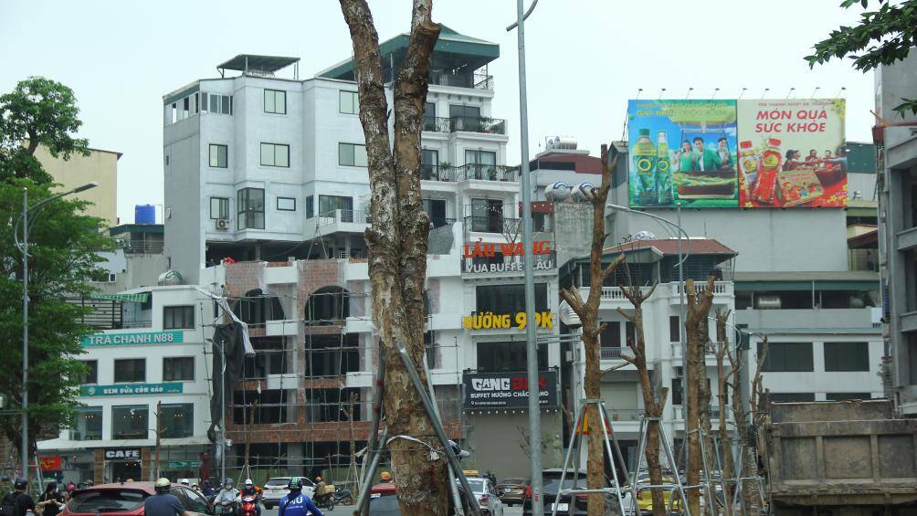 Không ít ý kiến cho rằng, đây là sự lãng phí lớn ngân sách khi trồng cây rồi để chết khô.