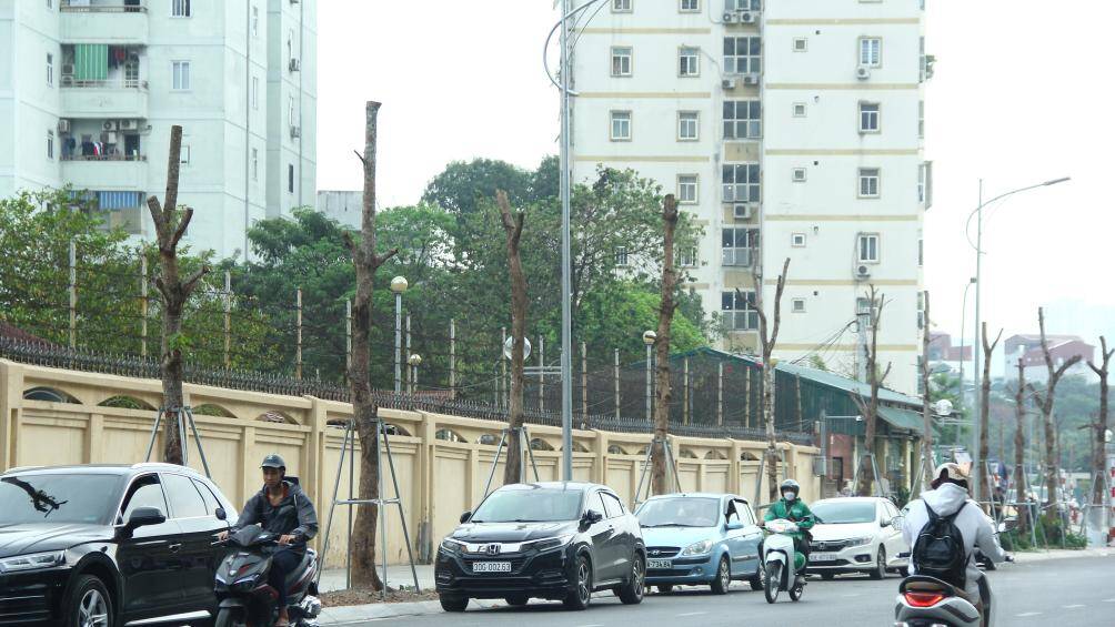 Tuyến đường thiết kế bề rộng mặt cắt ngang 28,3 - 30m, gồm lòng đường 15m, phần lớn vỉa hè 7,5m. Ngoài ra, tuyến đường có hệ thống đèn chiếu sáng, cây xanh đầy đủ.