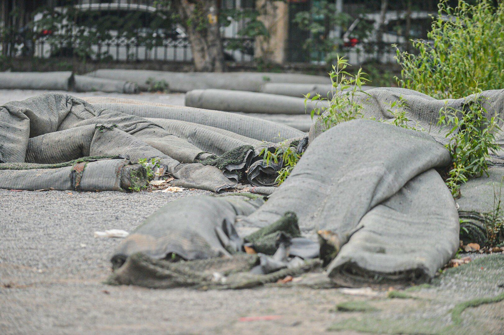 C&ocirc;ng vi&ecirc;n Tuổi trẻ Thủ đ&ocirc; c&oacute; "vị tr&iacute; v&agrave;ng" tr&ecirc;n đường V&otilde; Thị S&aacute;u v&agrave; Thanh Nh&agrave;n (quận Hai B&agrave; Trưng, H&agrave; Nội), được UBND TP H&agrave; Nội ph&ecirc; duyệt quy hoạch từ năm 2000, với quy m&ocirc; 26,4ha, tổng mức đầu tư tr&ecirc;n 280 tỷ đồng, thời gian thực hiện từ năm 2002 đến năm 2006.