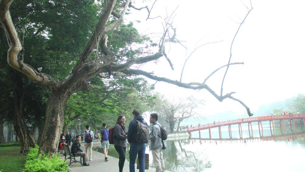 Quanh khu vực hồ Gươm (còn gọi là hồ Hoàn Kiếm) có rất nhiều loài cây toả bóng mát quanh năm, trong đó có nhiều cây cổ thụ quý hiếm. Đặc biệt là cây sưa đỏ - loại cây có thường được ví quý như vàng.
