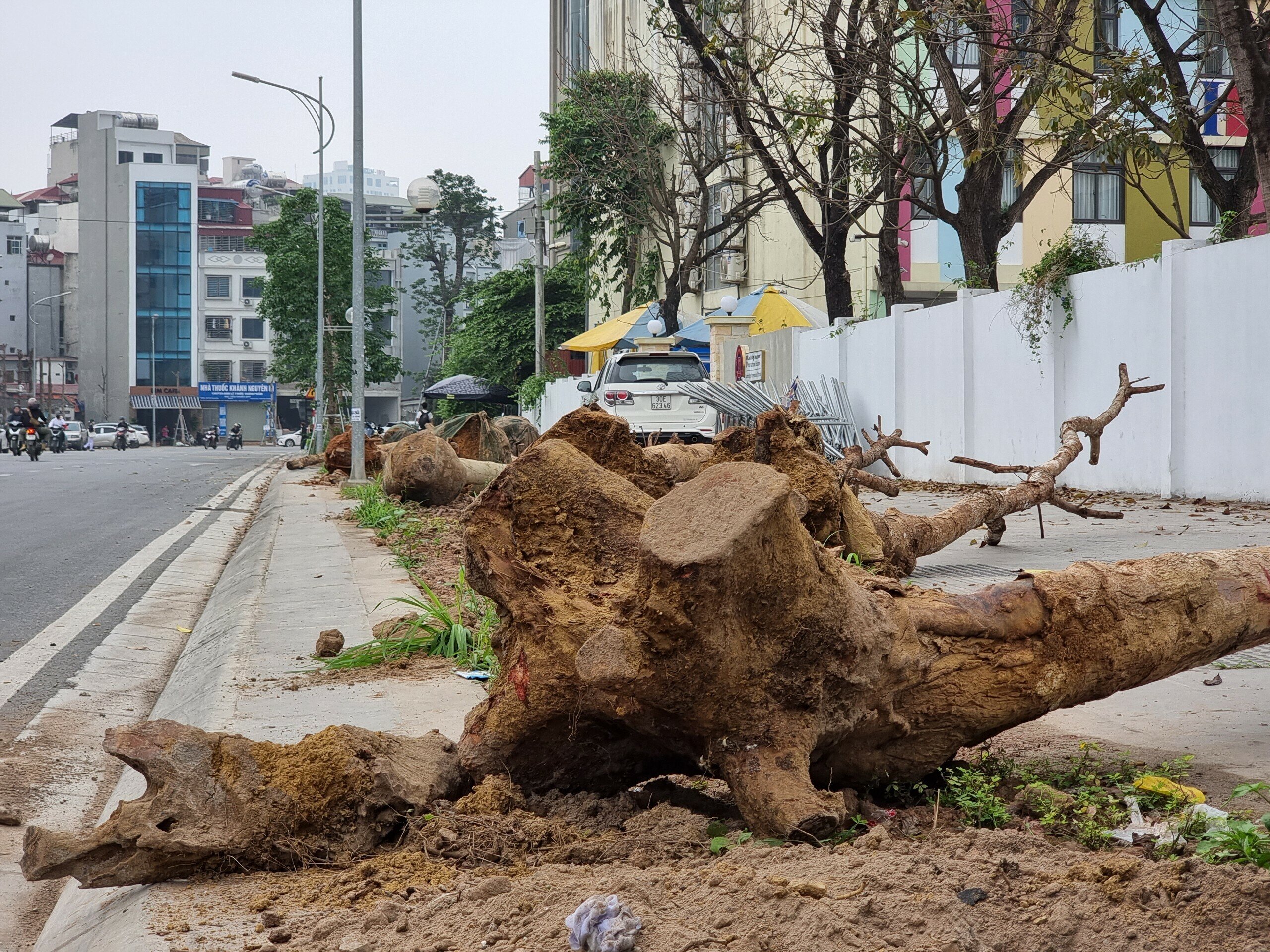 Đây là tuyến đường được thông xe vào ngày 17/1 vừa qua, có tổng mức đầu tư hơn 340 tỷ đồng do UBND quận Đống Đa làm chủ đầu tư. Hàng cây xanh 2 bên đường với số lượng 264 cây được đầu tư đồng bộ cùng với các hạng mục khác của con đường.