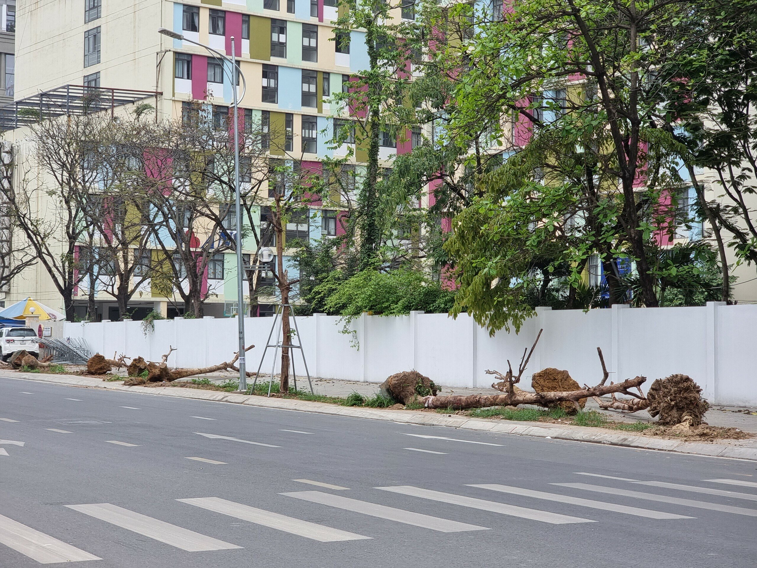 Hạng mục cây xanh trên tuyến đường này có trị giá khoảng 2,5 tỷ đồng, do nhà thầu thi công là liên danh Công ty đường bộ Phú Thọ và Công ty cổ phần đầu tư DCC Hà Nội thực hiện.