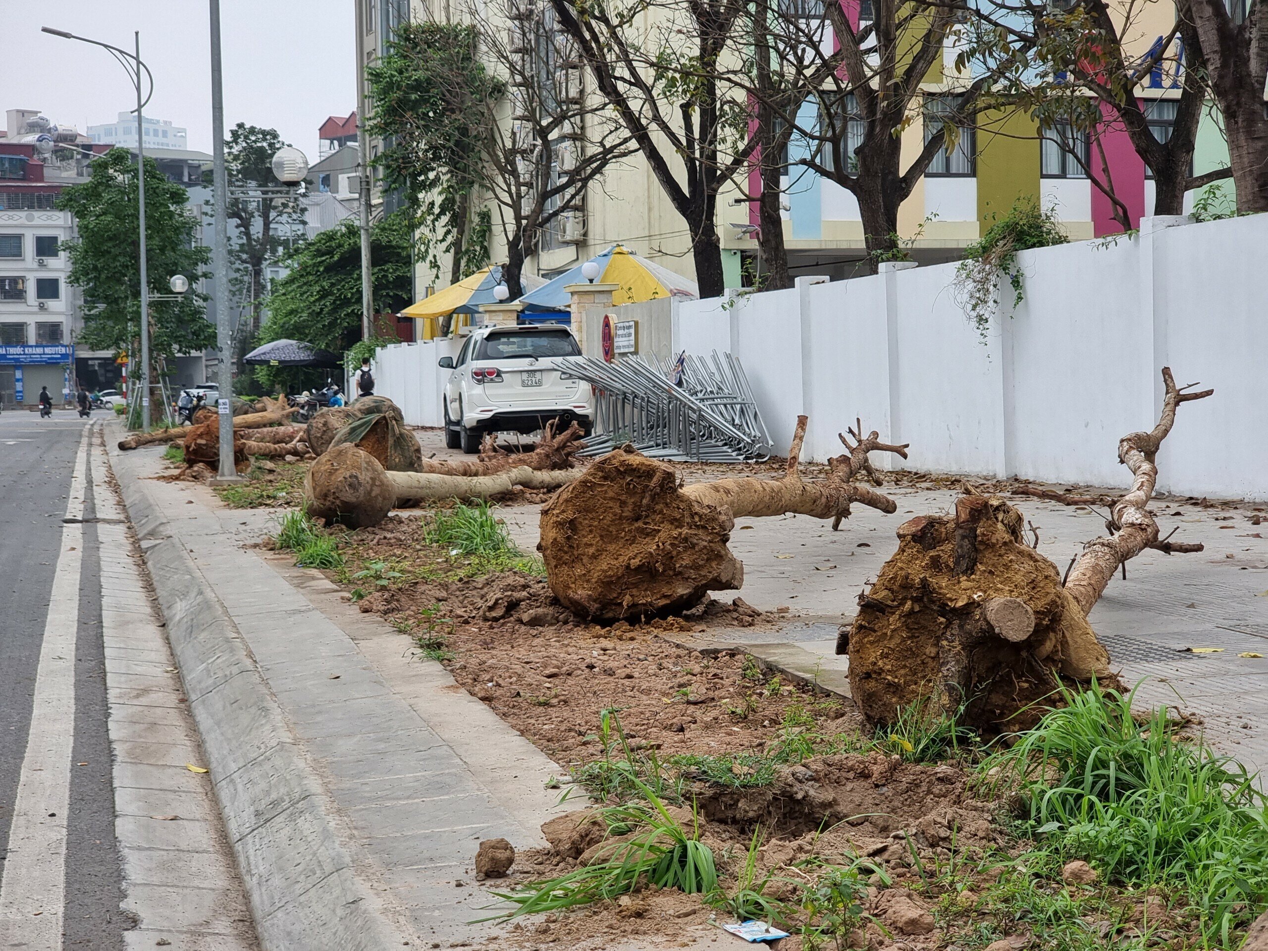 Liên quan nội dung này, Ban Quản lý dự án đầu tư xây dựng quận Đống Đa (TP Hà Nội) - đơn vị chủ đầu tư dự án đường Huỳnh Thúc Kháng kéo dài cho biết, hiện nay, công trình đang trong giai đoạn tạm bàn giao để đưa vào sử dụng, trách nhiệm quản lý, chăm sóc, bảo hành cây do nhà thầu thi công thực hiện.