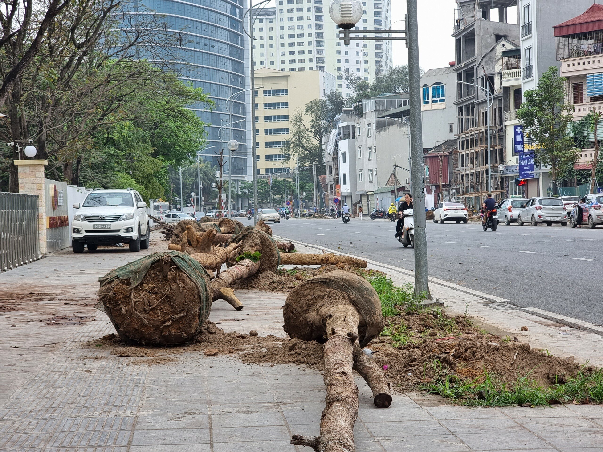 "Trước mắt, đơn vị xác định khoảng vài chục cây bị chết nên yêu cầu nhà thầu thi công thay thế. Hiện trách nhiệm quản lý, chăm sóc, bảo hành cây xanh mới trồng do nhà thầu thi công thực hiện", vị cán bộ này nói.