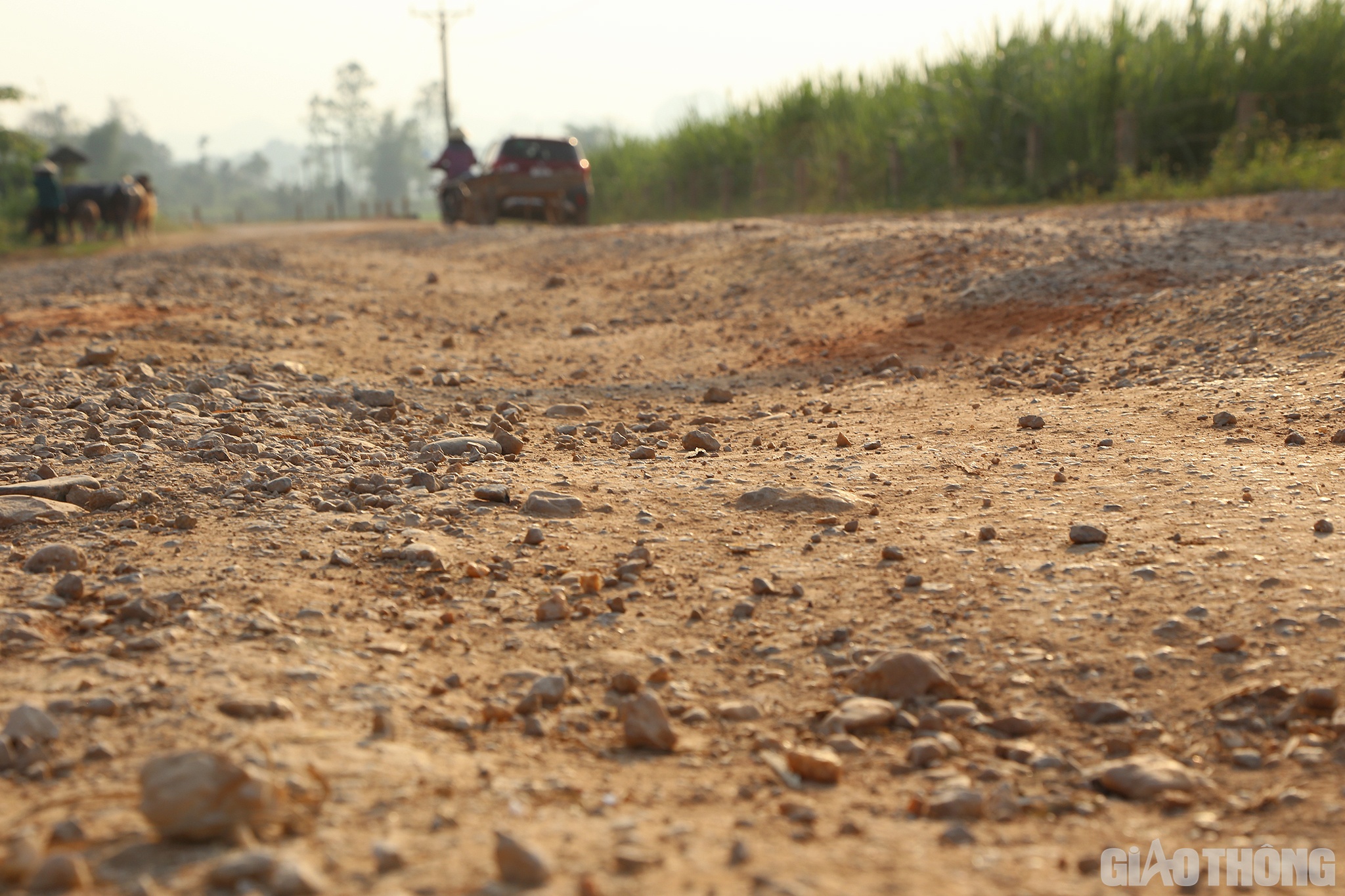 Ông Nguyễn Tất Hải - Giám đốc Ban Quản lý dự án huyện Tân Kỳ cho biết: Tuyến QL15B do huyện làm chủ đầu tư, với tổng mức lên đến 110 tỷ đồng, đến nay dự án vẫn còn 1 đoạn cuối tuyến chưa hoàn thành. Ngoài ra, đường cũng chưa được huyện nghiệm thu và bàn giao.