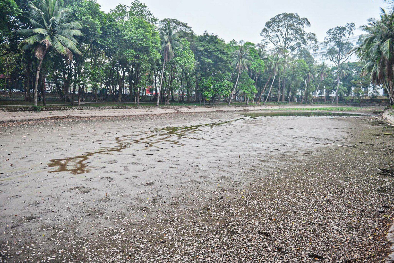 Ghi nhận cũng cho thấy, hồ nước tại c&ocirc;ng vi&ecirc;n B&aacute;ch Thảo thời gian gần đ&acirc;y bị cạn nước, trơ đ&aacute;y