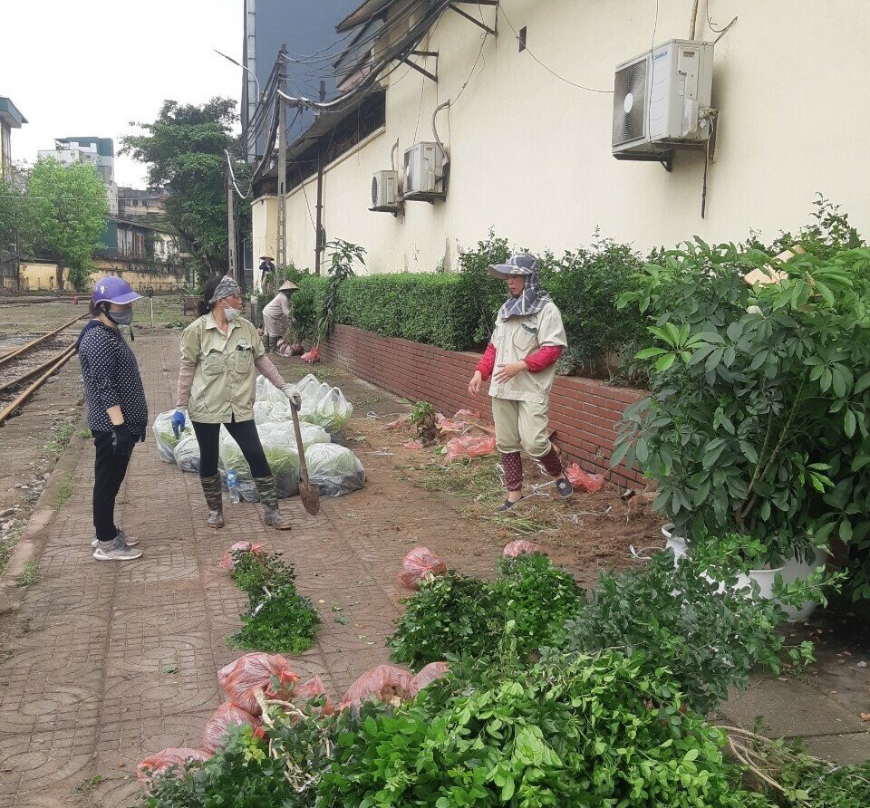 Ngoài khu vực ga Hà Nội, các đơn vị sẽ tiếp tục triển khai tại các nhà ga, cung đường... trên địa bàn Hà Nội. Hiện đường sắt đang bàn với một số phường triển khai kế hoạch dọn vệ sinh, trồng cây, trồng hoa đất hai bên đường sắt như khu vực hồ Ba Mẫu...