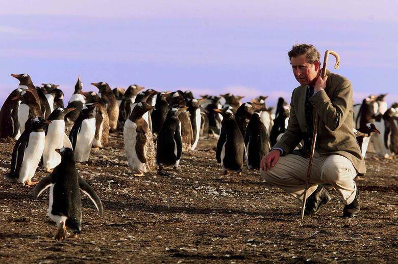 Trong nhiều thập kỷ qua, ông Charles đã tích cực thực hiện nghĩa vụ của Hoàng gia, là người ủng hộ công cuộc bảo vệ môi trường và đã nhiều lần lên tiếng cảnh báo về mối đe dọa của biến đổi khí hậu, sự tuyệt chủng của các giống loài. Ảnh: Reuters