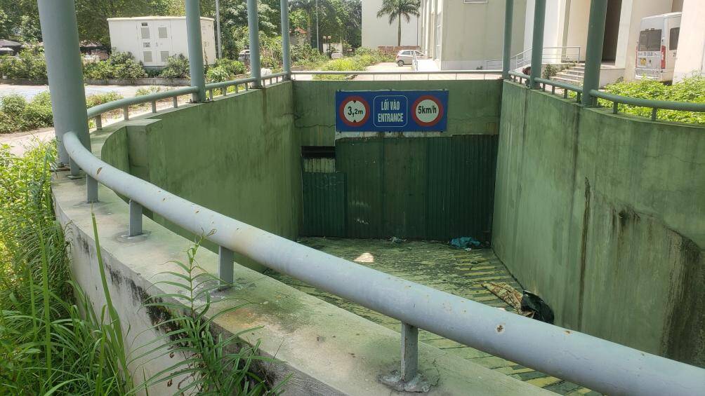 Tại 5 tòa nhà này, hầu như cỏ mọc ở khắp nơi. Lối xuống các hầm cũng được khóa hoặc chặn bởi những tấm tôn