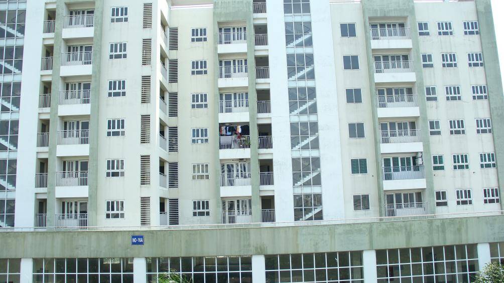 Khu giãn dân phố cổ ở phường Thượng Thanh gồm 5 tòa nhà với mỗi tòa 8 - 9 tầng nhưng nhìn mãi mới thấy 2 - 3 hộ dân sinh sống. Khuôn viên tòa nhà không có bảo vệ hay ban quản lý làm việc