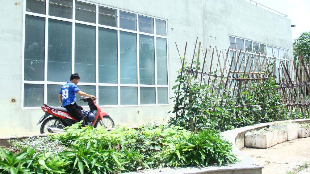 Khu vực vốn được quy hoạch là bồn hoa thì nay lại được người dân khu vực xung quanh tận dụng để trồng rau