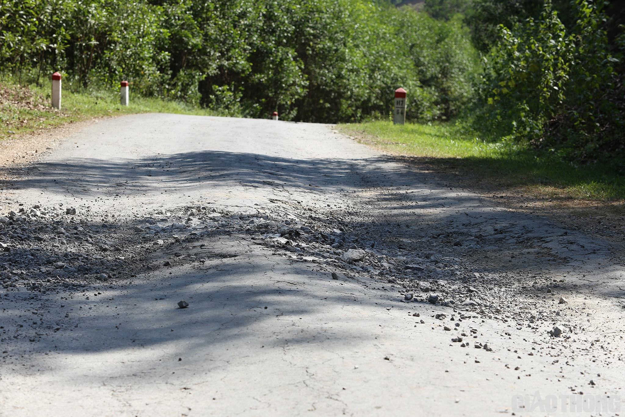 Xác nhận thông tin, ông Ngô Văn Tuấn - Chủ tịch UBND xã Đồng Thành, huyện Yên Thành, tỉnh Nghệ An: Trong các diễn đàn, địa phương đã kiến nghị ngành chức năng có thẩm quyền sớm nâng cấp, sửa chữa tuyến Đường tỉnh 538 nhưng đến nay vẫn chưa nhận được hồi âm.