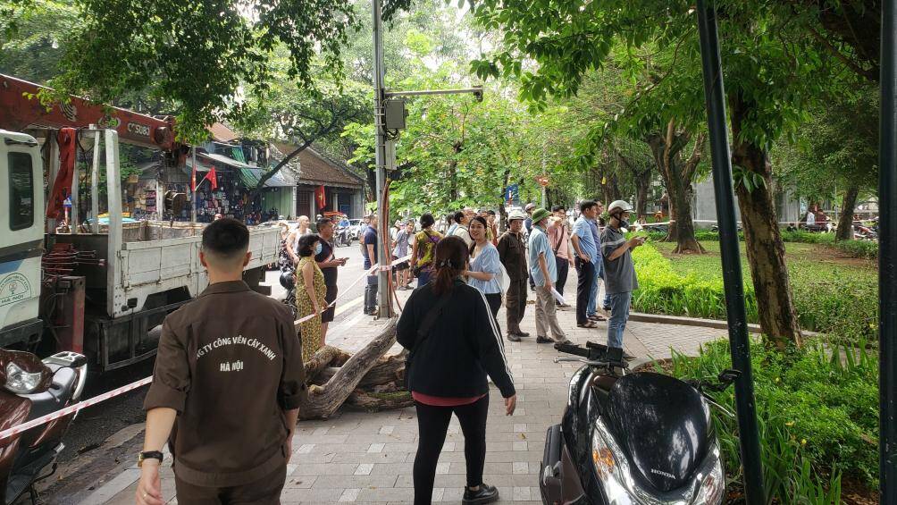 Một số người dân hiếu kỳ cũng tập trung để quan sát, theo dõi quá trình chặt hạ cây sưa.