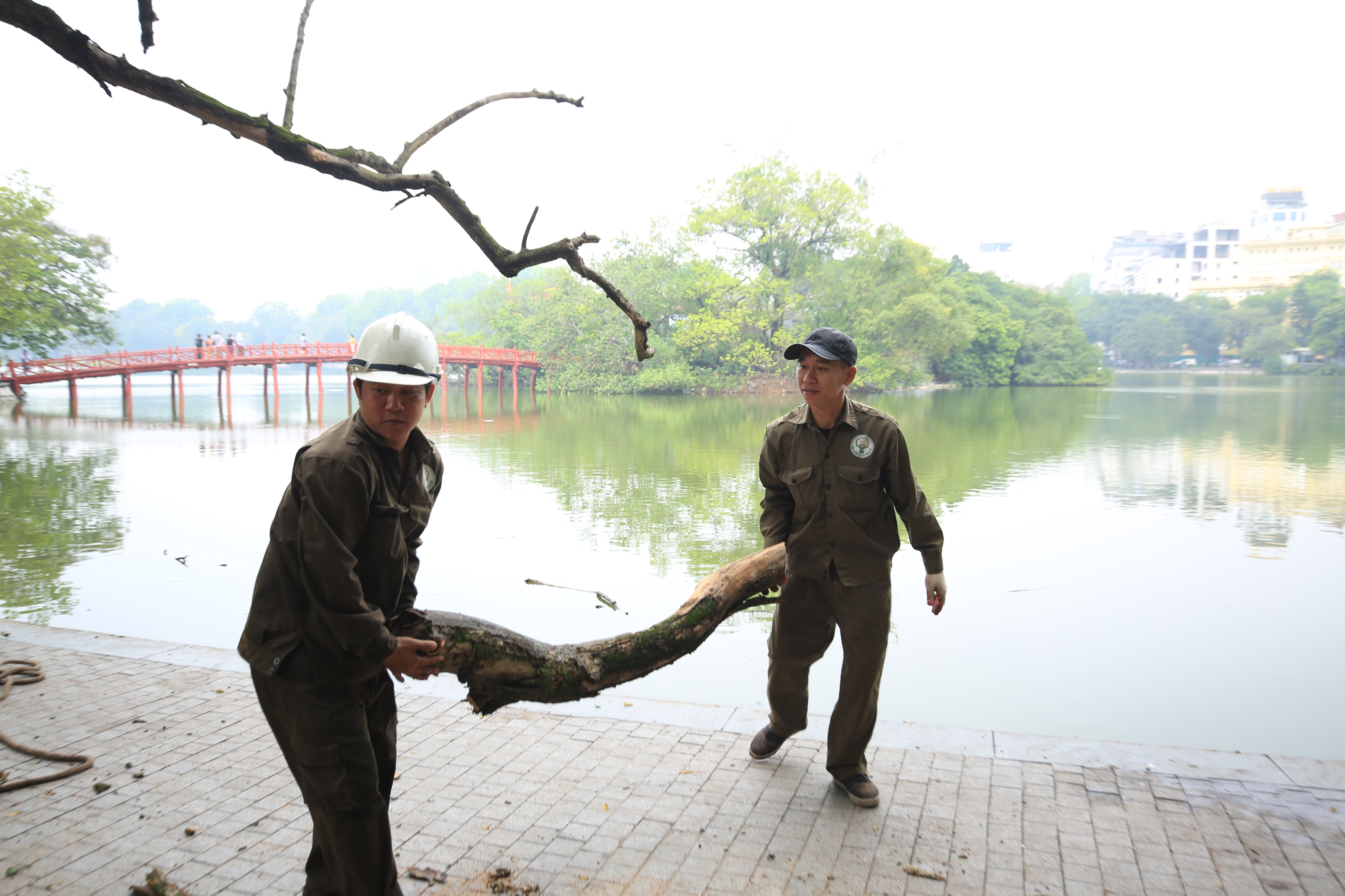 "Ngày mai thì phía Công ty sẽ tiến hành chặt hạ 2 cây còn lại do hôm nay tập trung chặt hạ cây ở đây", ông Quỳnh cho biết thêm.