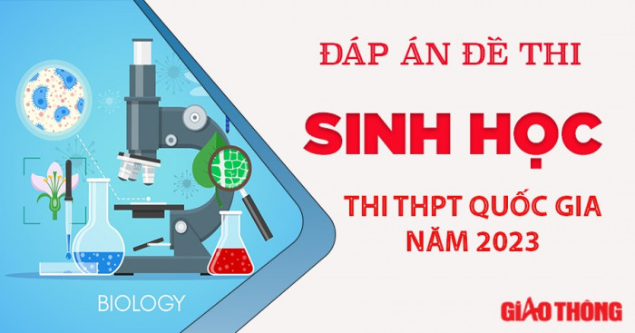 Đáp án đề thi môn Sinh học tốt nghiệp THPT 2023 tất cả mã đề- Ảnh 25.