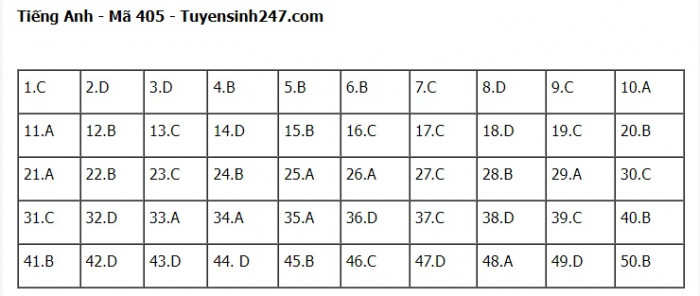 Đáp án đề thi môn Tiếng Anh THPT Quốc gia 2023 Full mã đề- Ảnh 5.