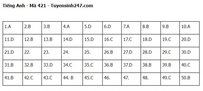 Đáp án đề thi môn Tiếng Anh THPT Quốc gia 2023 Full mã đề- Ảnh 21.
