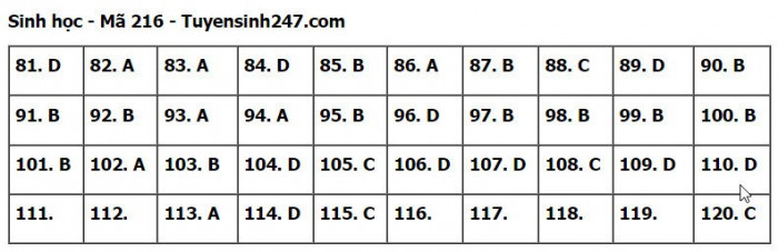 Đáp án đề thi môn Sinh học tốt nghiệp THPT 2023 tất cả mã đề- Ảnh 16.