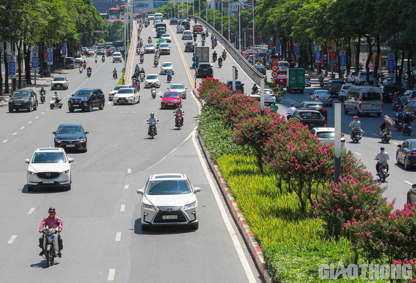 Trước đây, cả hai tuyến đường này được trồng ba tầng cây xanh. Trên cùng là cây phong lá đỏ, ở giữa là tường vi cánh mỏng màu hồng và dưới cùng là nhiều loài hoa khác.