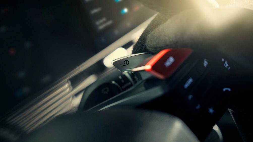 Mẫu xe này còn sở hữu tính năng khác có nguồn gốc từ động cơ đốt trong, đó là âm thanh mô phỏng và đường truyền mô phỏng.