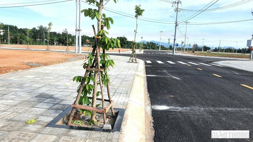 Hệ thống cây xanh được trồng, chăm sóc tốt ở các khu TĐC để đáp ứng nơi ở mới cho hơn 1.000 hộ dân với tổng 2.000 lô đất bố trí TĐC.
