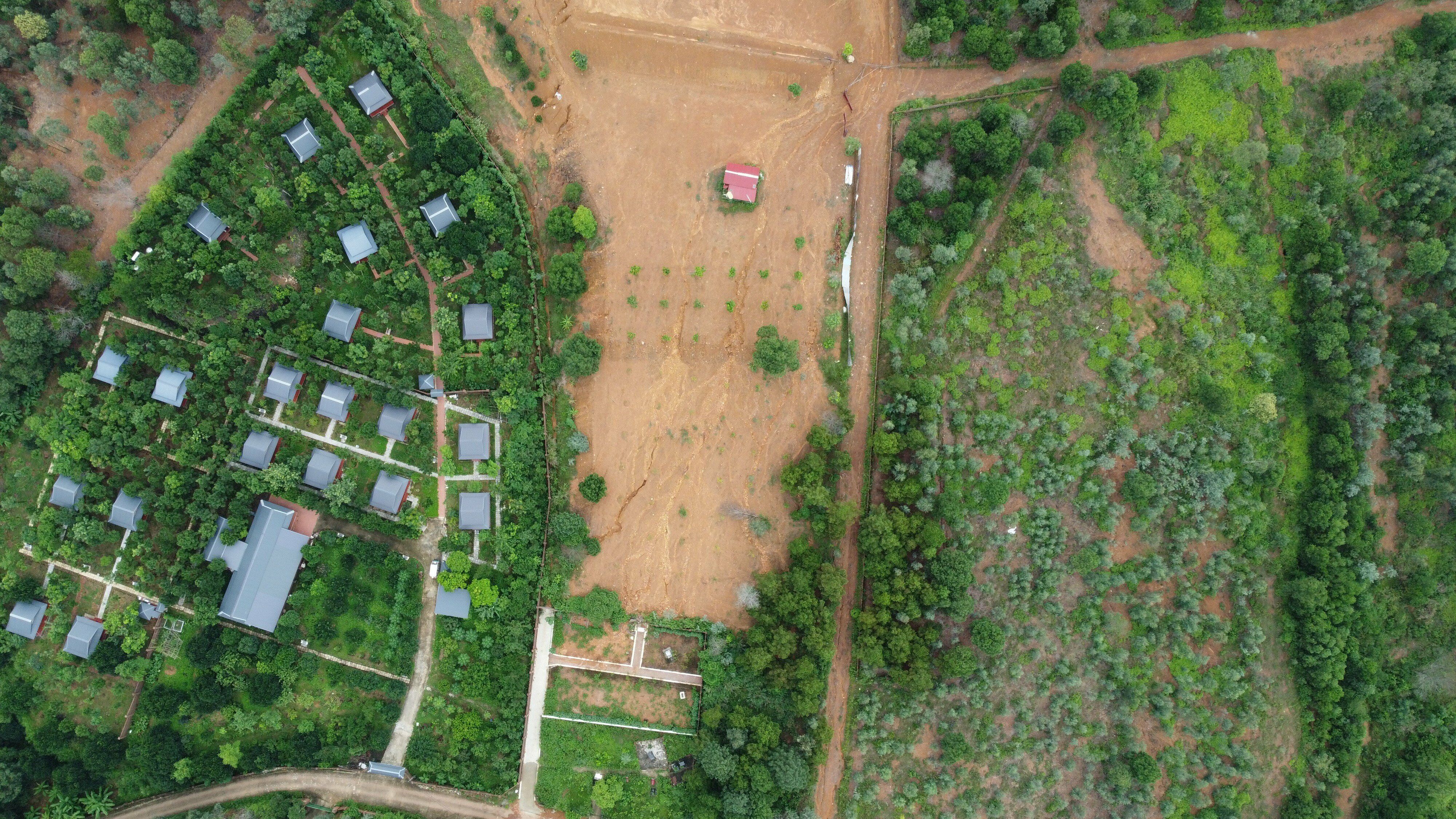 Cách những căn homestay không xa là những mảng đồi bị san ủi trơ trọi. Cùng với đó là những ngôi nhà được xây dựng khá bài bản.