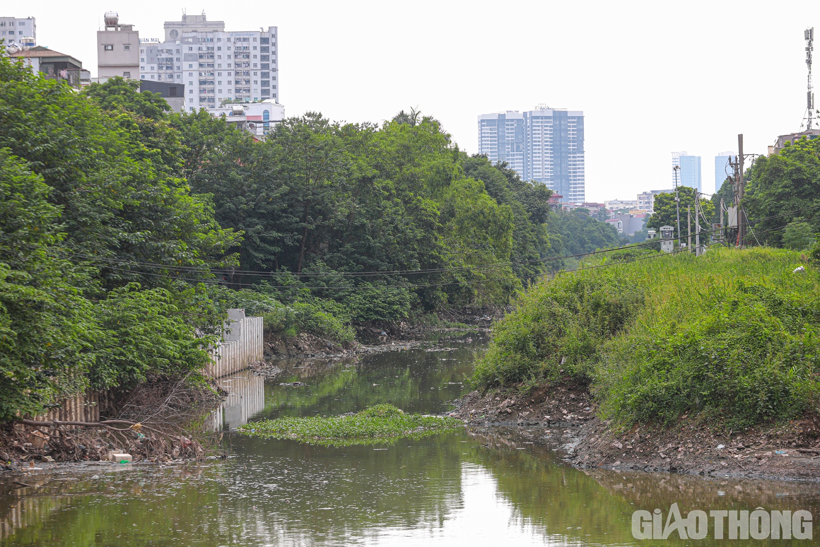 Nhiều đoạn ngổn ngang ụ đất giữa lòng kênh khiến dòng chảy bị hạn chế.