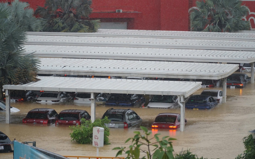 Hàng loạt ô tô ngập sâu trong nước ở Khánh Hòa