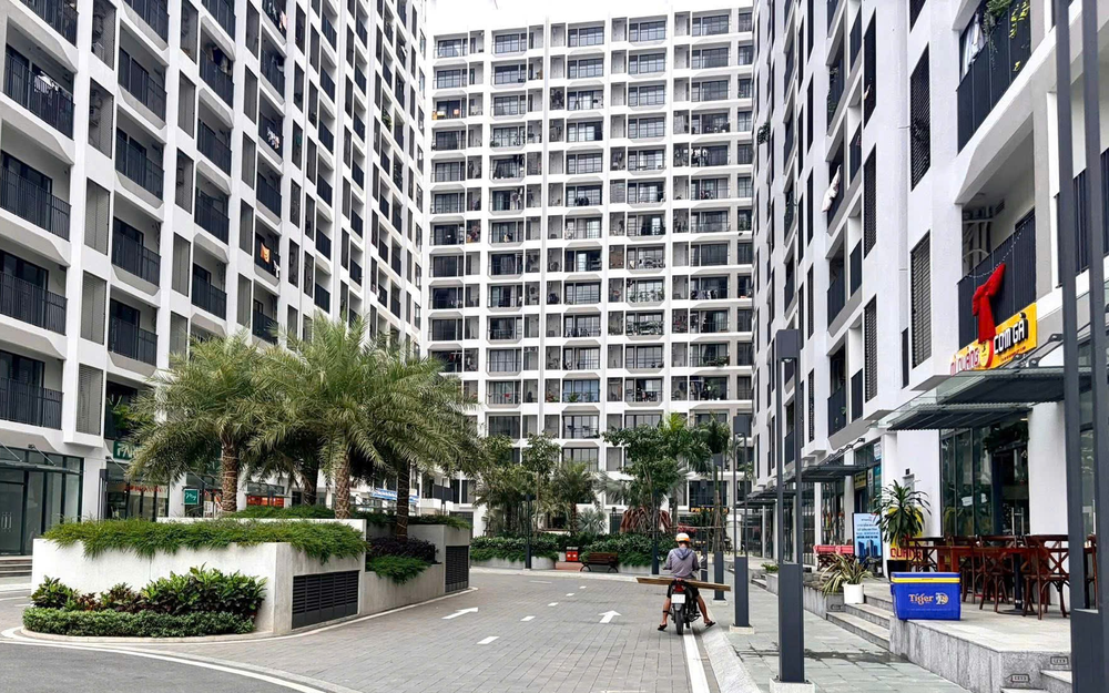 Giá thuê chung cư tại TP.HCM “dễ thở” giữa mặt bằng giá bán tăng cao