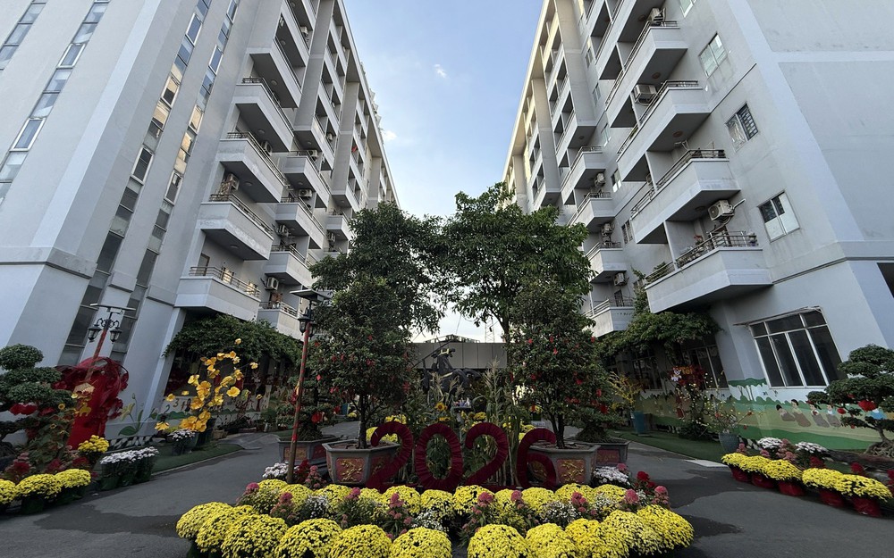 Chủ tịch UBND TP.HCM giao HoREA xây dựng đề án phát triển nhà ở xã hội