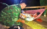 Cà Mau: Kịp thời hỗ trợ người dân bị bệnh nặng vào bờ cấp cứu